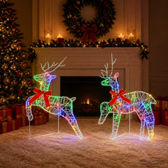 Christmas Reindeer 2 pcs 40 LEDs 43 x 19 x 65 cm Multicolour