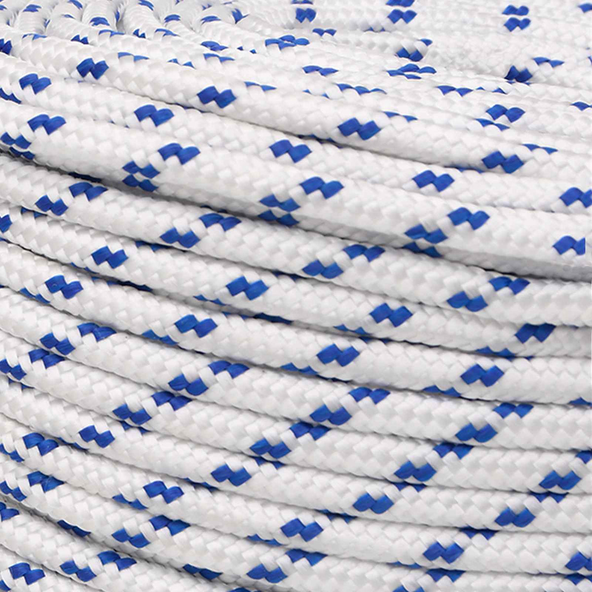 vidaXL Multipurpose Utility Rope 10 mm 100 m White and Blue PP 4