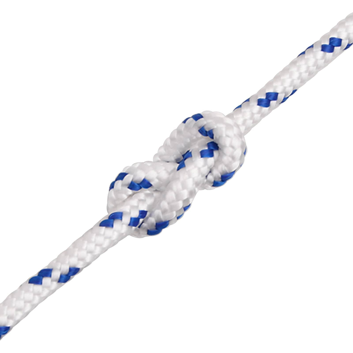 vidaXL Multipurpose Utility Rope 10 mm 100 m White and Blue PP 5