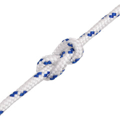 vidaXL Multipurpose Utility Rope 10 mm 100 m White and Blue PP 5