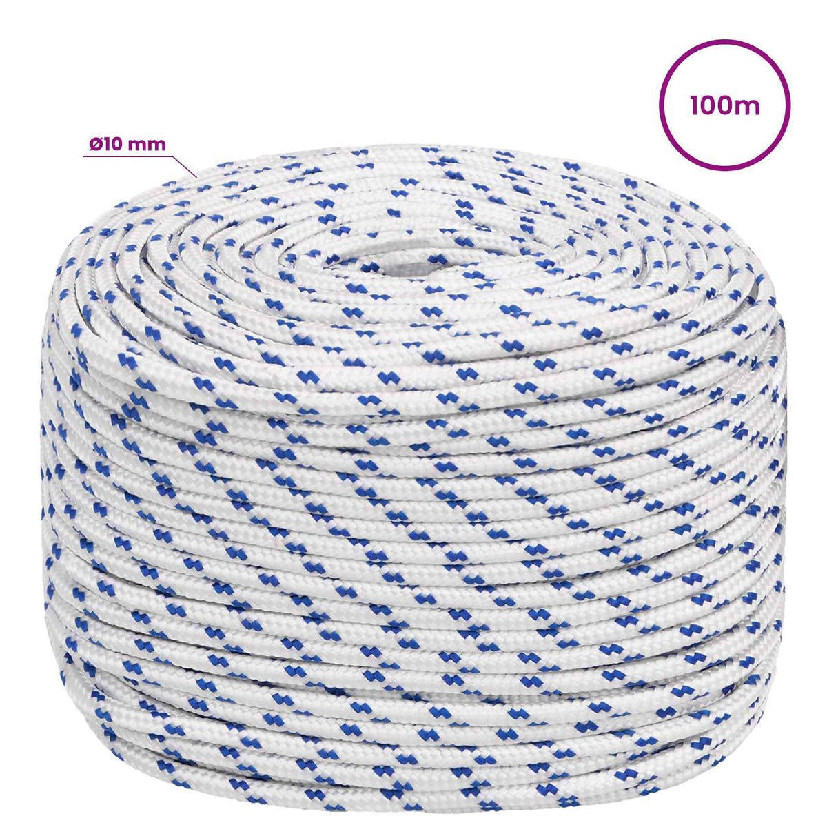 vidaXL Multipurpose Utility Rope 10 mm 100 m White and Blue PP 6