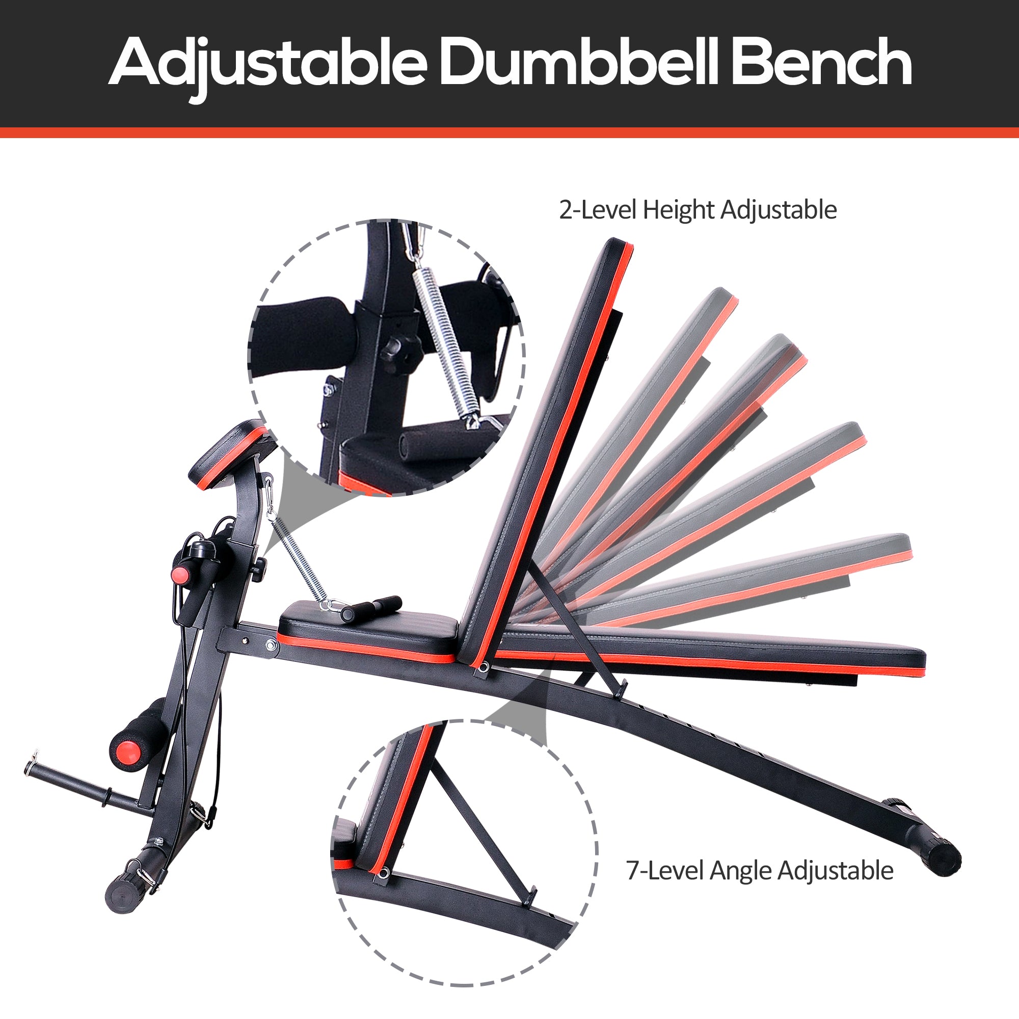 HOMCOM Adjustable Reclined Dumbbell Bench Weight Lifting Set Folding Sit Up Ab Bench Home Training Gym Multiuse Workout Exercise Fitness with 2 x 4kg Dumbbells