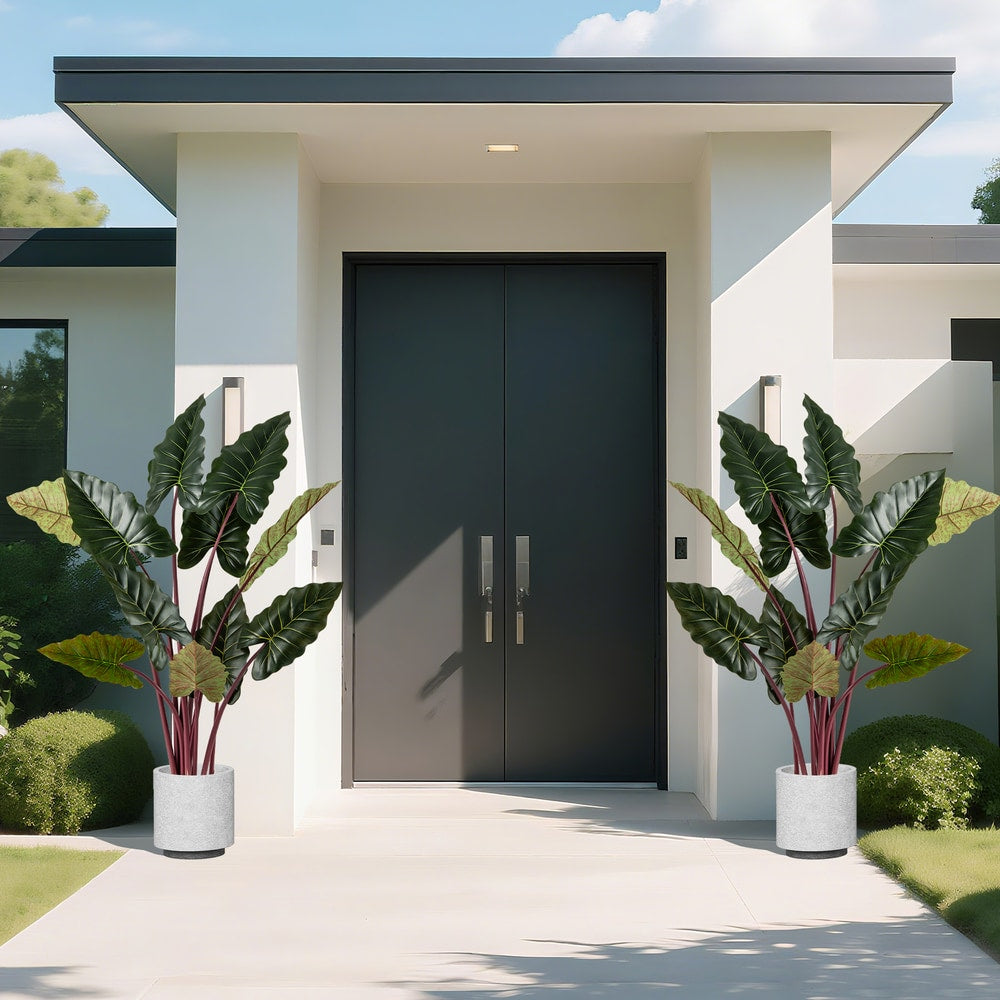 Two artificial taro trees flanking a modern doorway