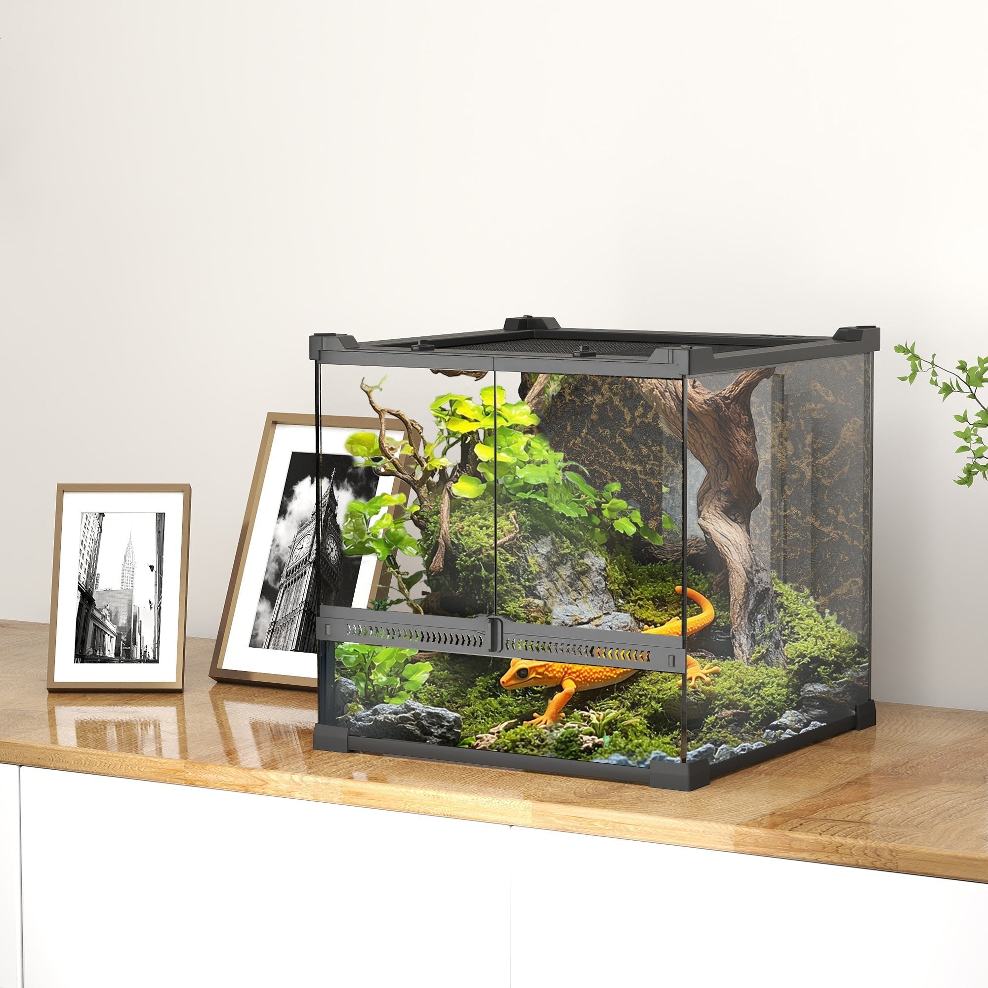PawHut Reptile Glass Terrarium with Stone Background, Front Ventilation, Escape-Proof Knob Lock, 30 x 30 x 30 cm, Black