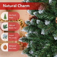 220 cm Christmas Tree and 70 cm Metal Tree Collar Set
