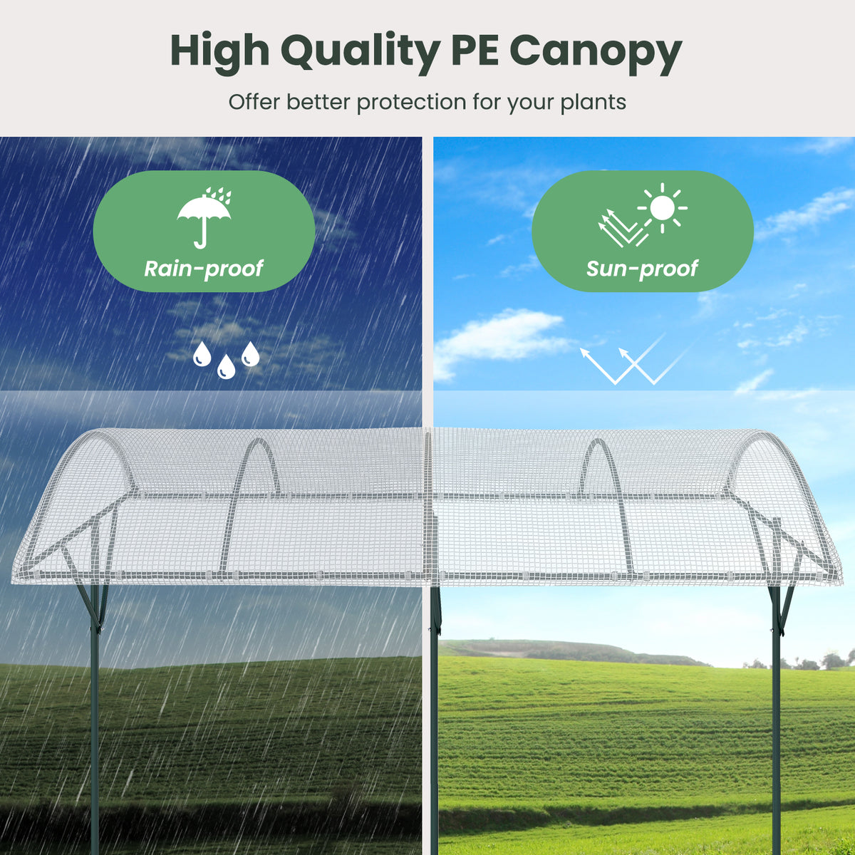 Climbing Vegetables Fruits Flowers Shelter with PVC Canopy and Metal Stand