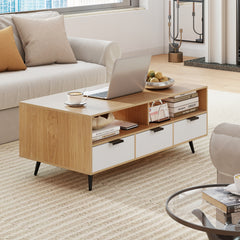 Coffee Table with Storage 47 Inch Center Table with 2 Open Compartments-Natural
