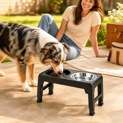 Elevated Dog Bowls with Slow Feeder and 4-Level Adjustable Stand-Black