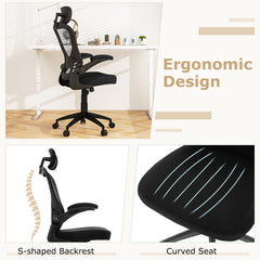 The office chair highlighting the curved seat and the s-shaped backrest for ergonomic support