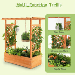 Raised Garden Bed with Arch Trellis-Orange