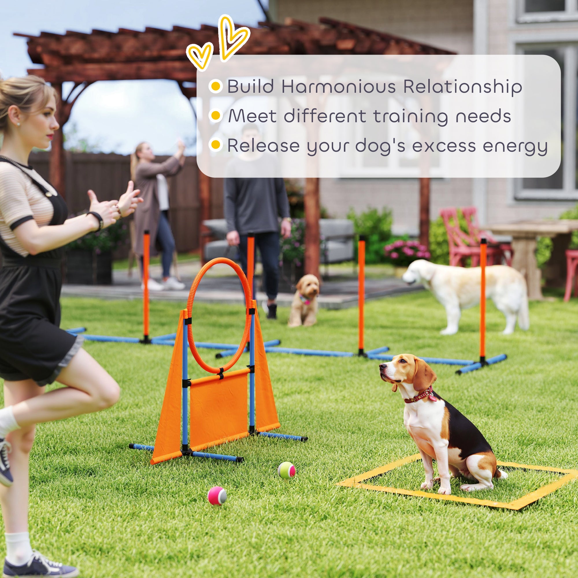 PawHut 6-Piece Dog Agility Equipment Set with Weave Poles, Jump Ring, Hurdle, Pause Box, Bag, Orange