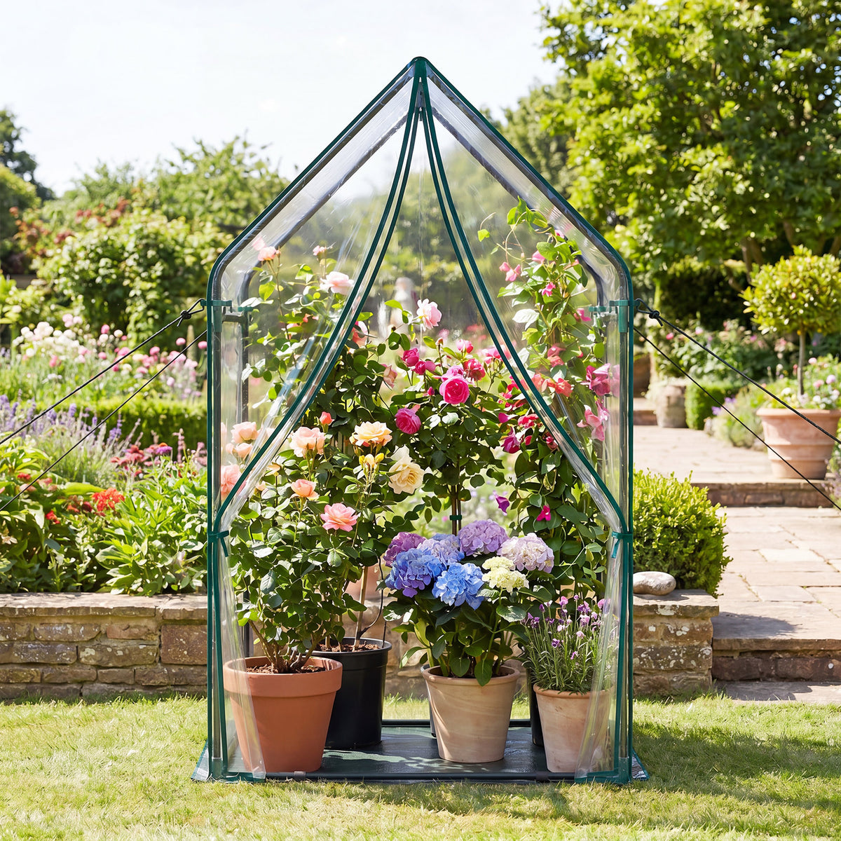 Mini Green House Metal Frame with Waterproof Bottom Mat and Wind Ropes-L