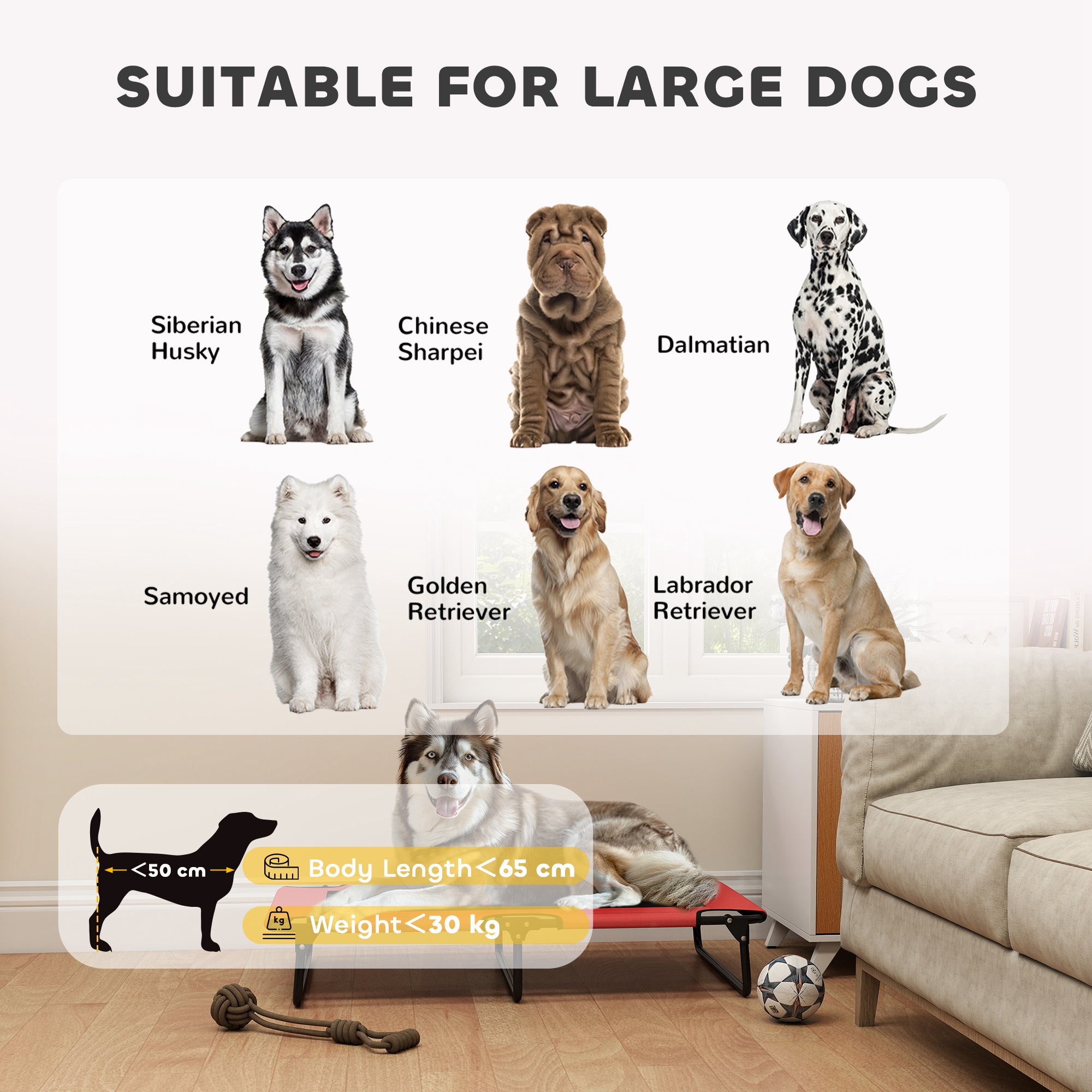 PawHut Portable Raised Dog Bed, Elevated Pet Cot with Breathable Mesh for Indoor Outdoor, for Large Dogs, Red