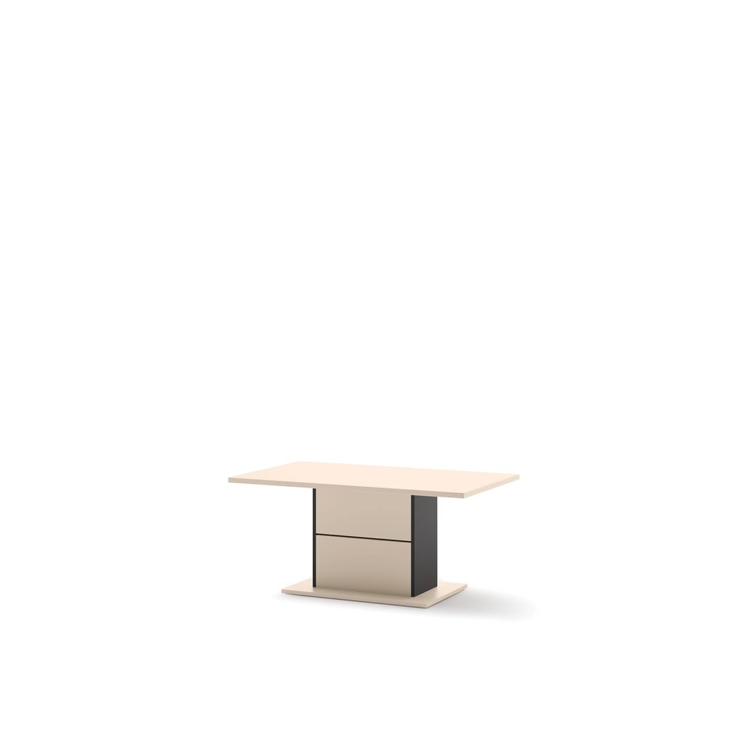 Zaya ZY-22 Coffee Table 110cm