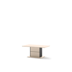Zaya ZY-22 Coffee Table 110cm