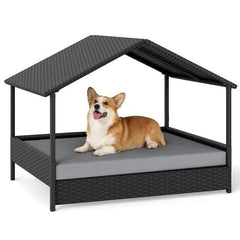 A dog lying on the raised bed of the rattan pet set