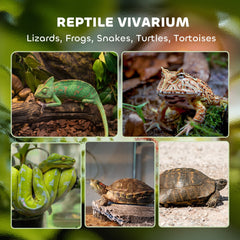 PawHut Reptile Glass Terrarium with Stone Background, Front Ventilation, Escape-Proof Knob Lock, 30 x 30 x 30 cm, Black