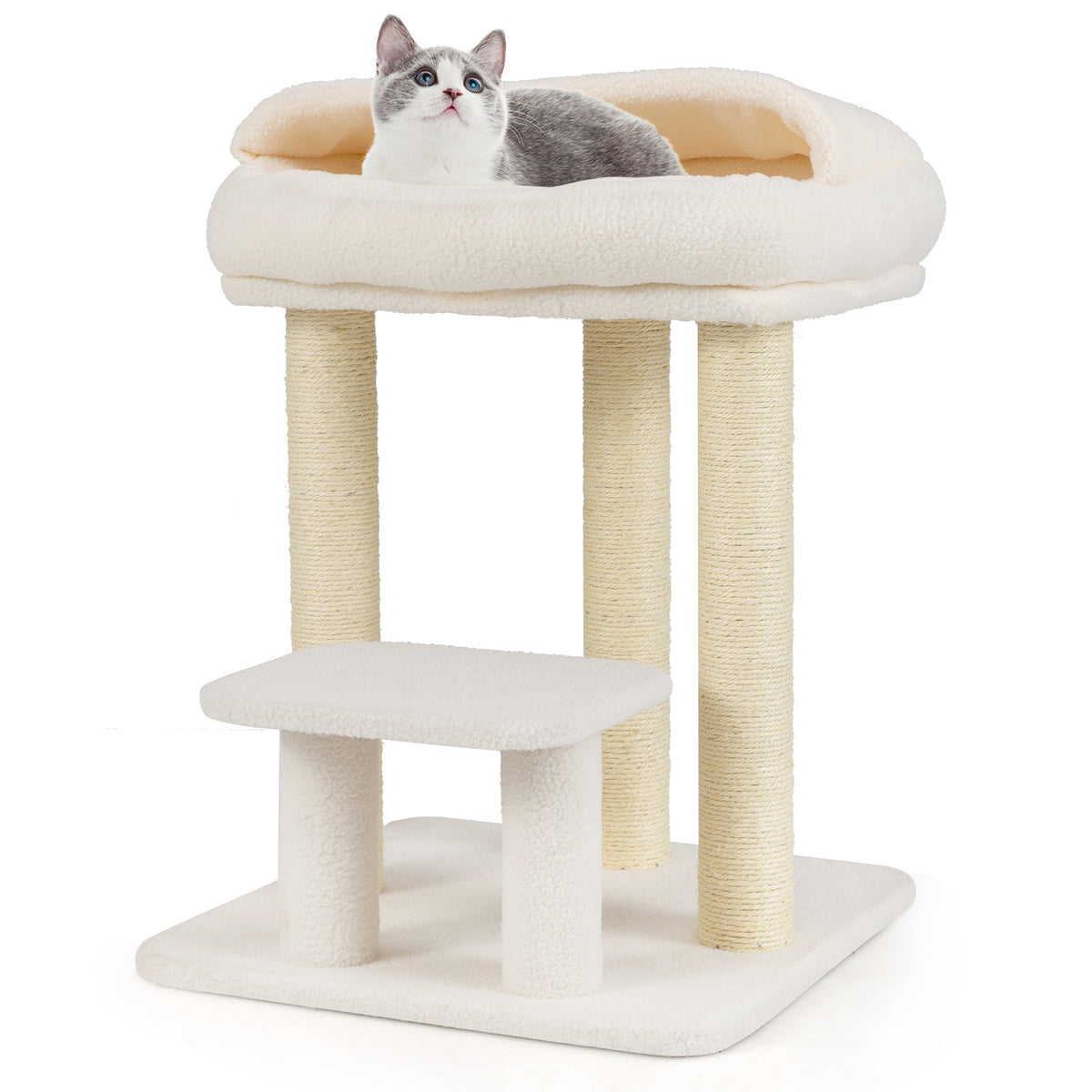 Small Cat Tree for Indoor Cats with Sisal Scratching Posts-White