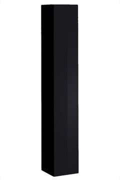 Switch SW1 Tall Cabinet 30cm