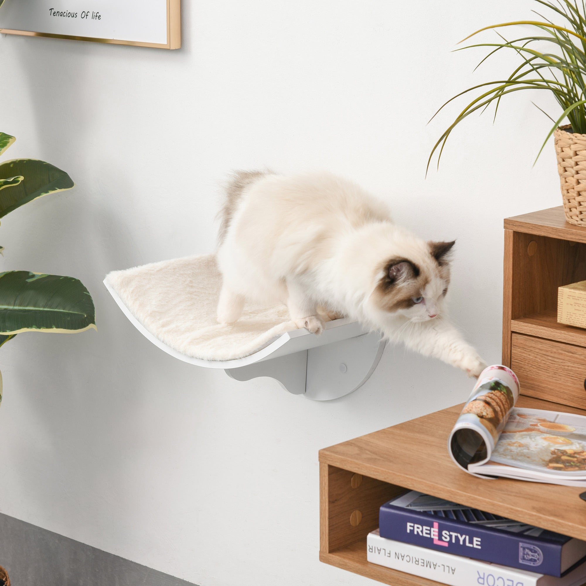 PawHut Wood Cat Shelves, Wall-Mounted Cat Shelter, Curved Kitten Bed Perch Climber Furniture 41 x 28 x 21cm White