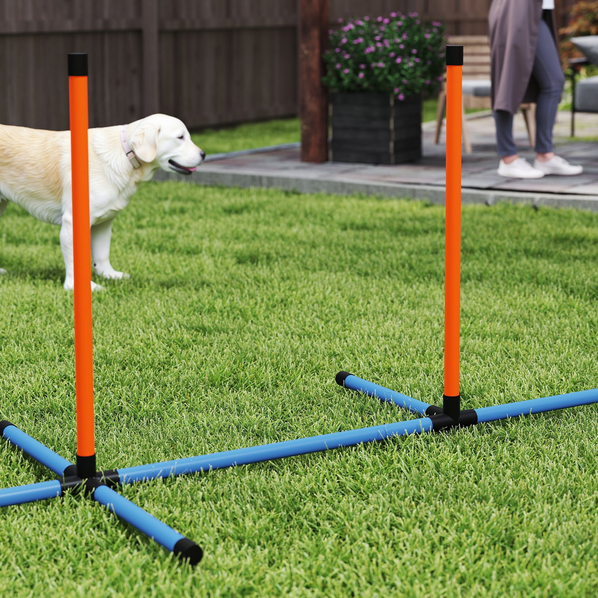 PawHut Seven-Piece Dog Agility Equipment Set with Weave Poles, Jump Ring, Hurdle, Pause Box, Carry Bag, Orange