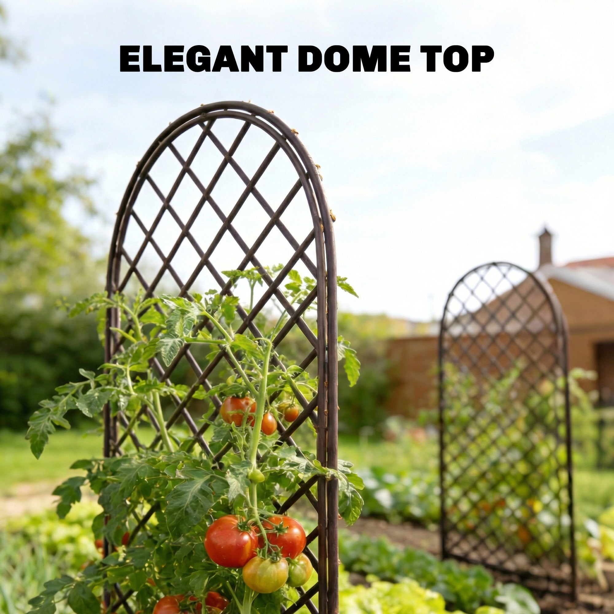 Outsunny Garden Arch, Garden Arbor with 8mm Wicker and Dome Top, Natural Wood Finish