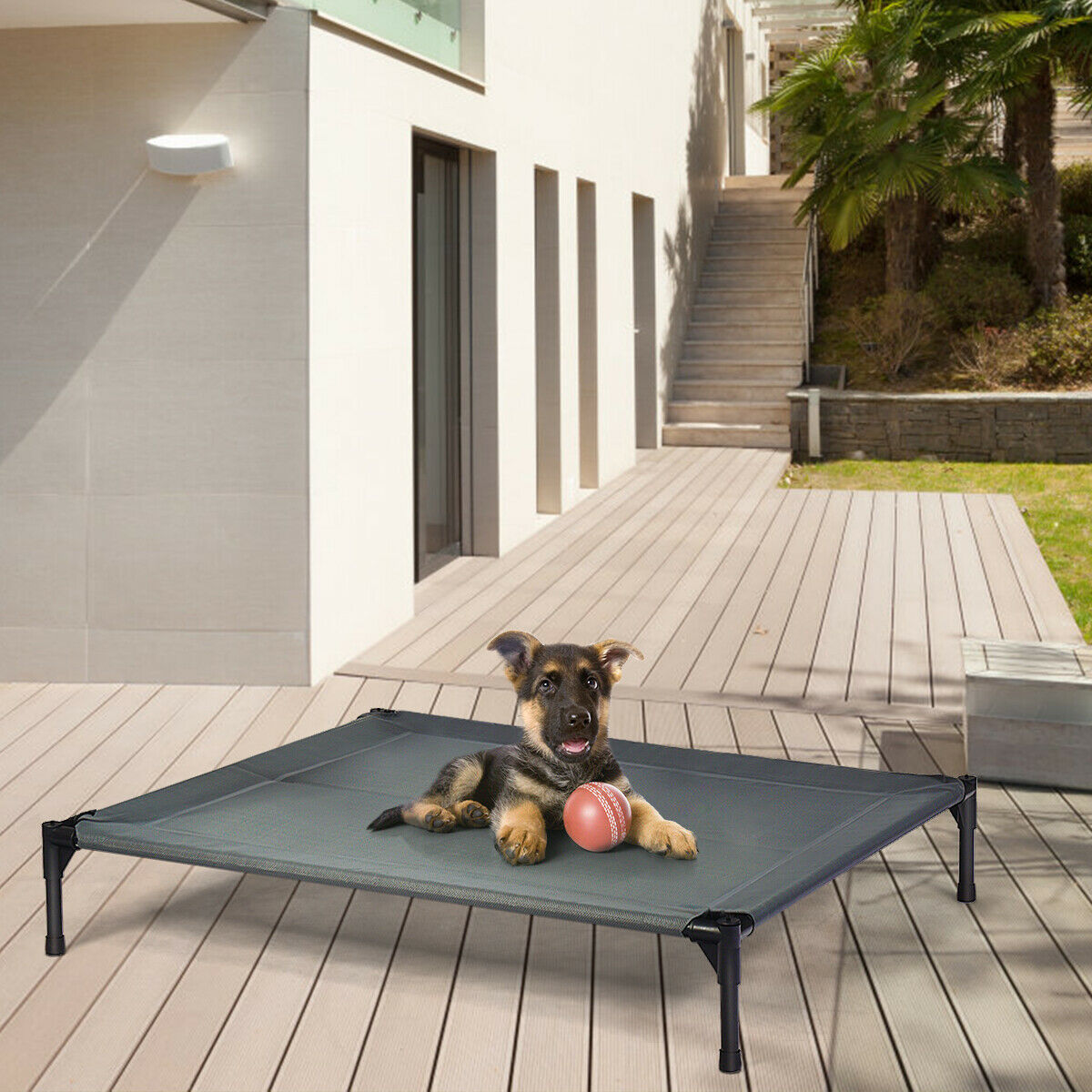 Elevated Pet Bed with Removable Canopy