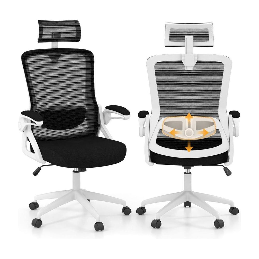Ergonomic Office Chair with Adjustable Lumbar Support shown from the front and back