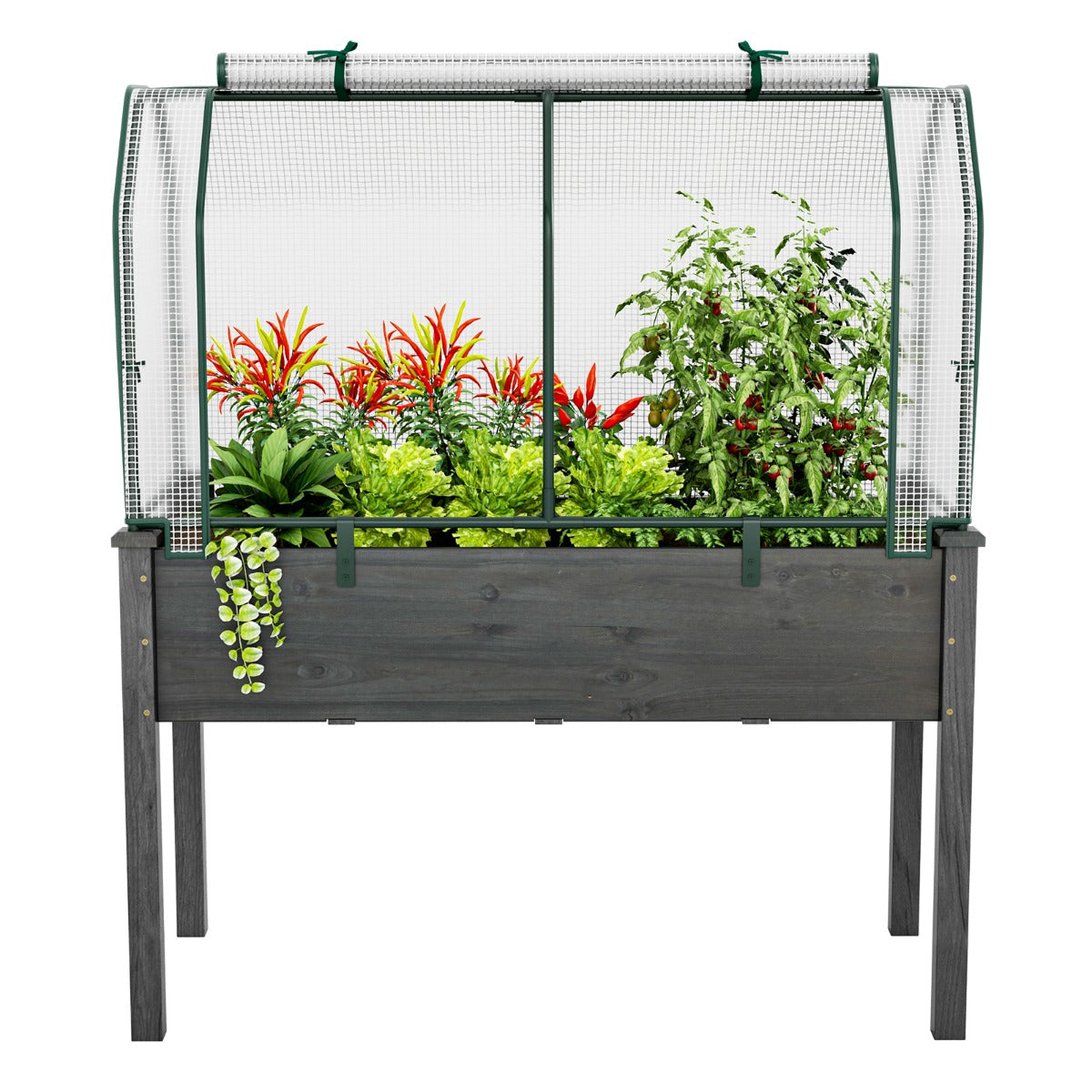 Portable Mini Greenhouse with Roll-Up Zippered Door
