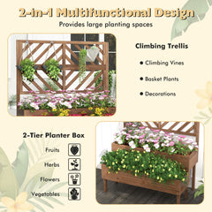 2-Tier Raised Garden Bed with Trellis and Drainage Hole-Brown
