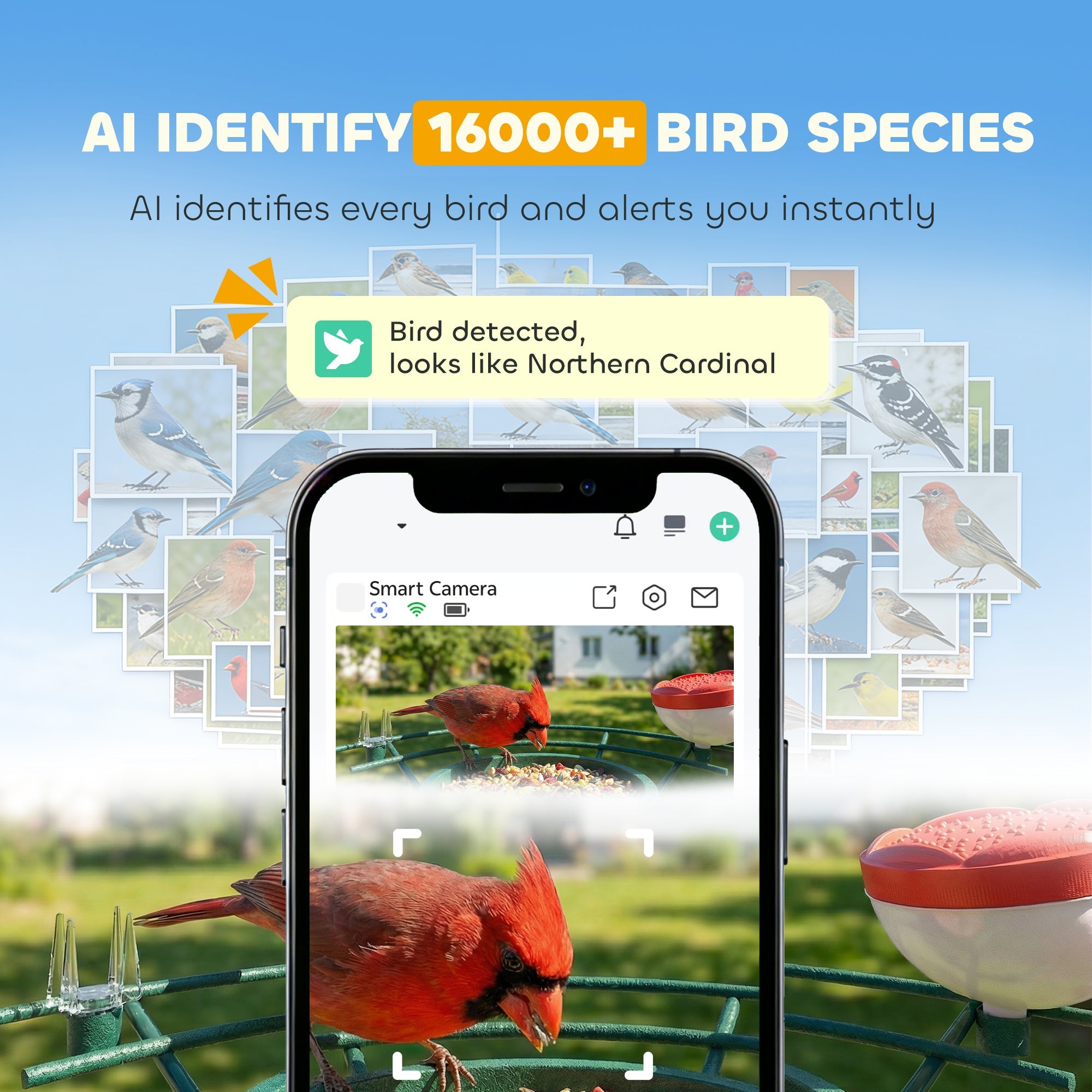 PawHut Smart Bird Feeder Camera 2K HD with AI Identifies 16,000+ Species, 2K HD Auto Capture Video, APP Instant Notifications