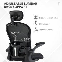 Vinsetto Multi-Adjustable Office Chair, with Lumbar Support, Headrest and Mesh Back - Black