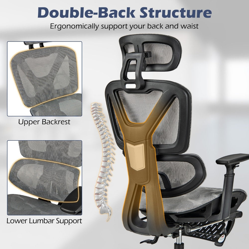 The office chair highlighting the backrest structure and lumbar support features