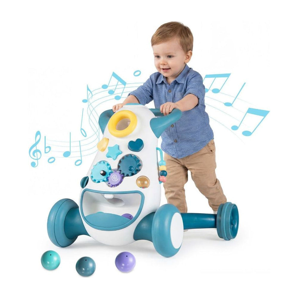 Montessori Baby Walker Toddler Educational Push Toy with music notes and colourful balls on the floor