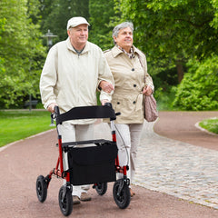 Foldable Rolling Walker with Seat-Red