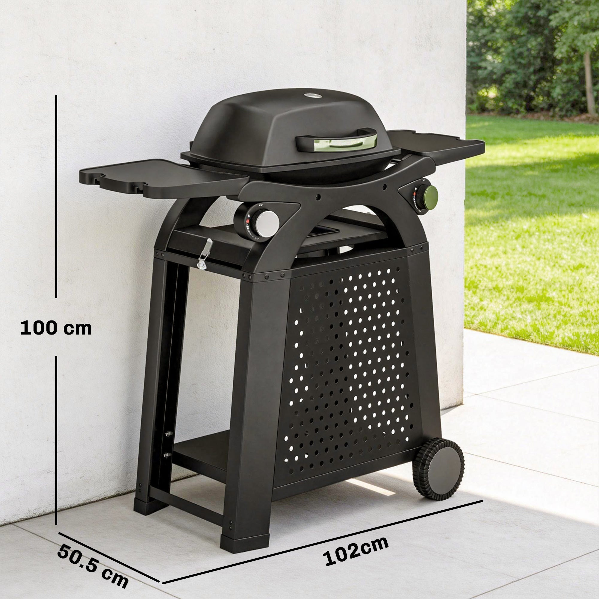 Outsunny 2 Burner Gas Grill with 2 Side Tables, 3.8 KW Barbecue Grill with Cast Iron Grates, 2-in-1 Tabletop BBQ with Wheels