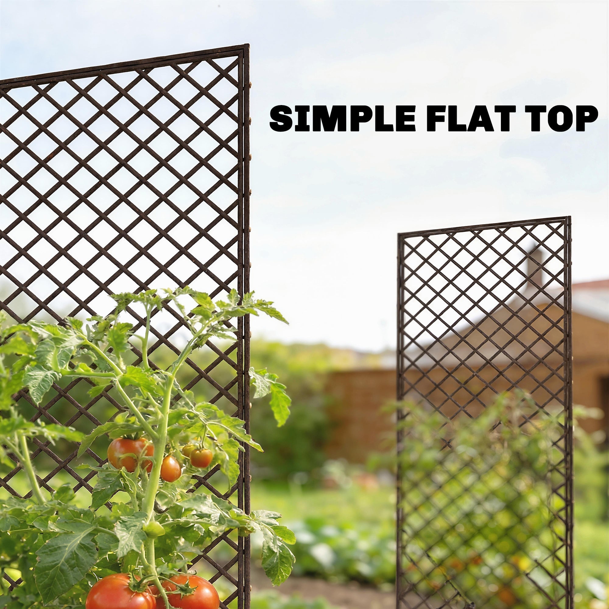 Outsunny Garden Arch, Garden Arbor with 8mm Wicker and Flat Top, Natural Wood Finish