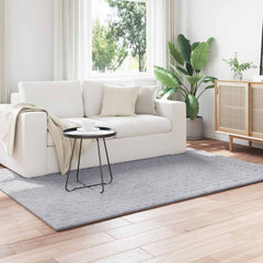 Indoor Rug SIROLO Grey Medium Pile