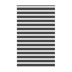Zebra Blind Black