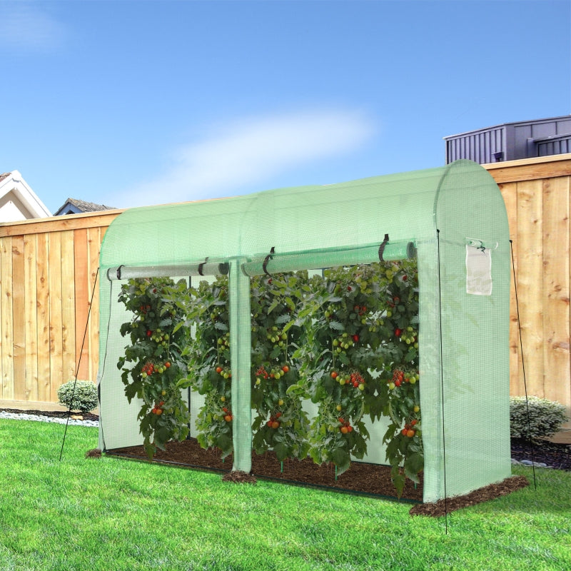 Greenhouse With Double Doors And 4 Windows Outdoor 3 X 1 2m