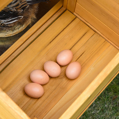 Deluxe 168cm Chicken Coop Small Animal Habitat Hen House with Run Nesting Box