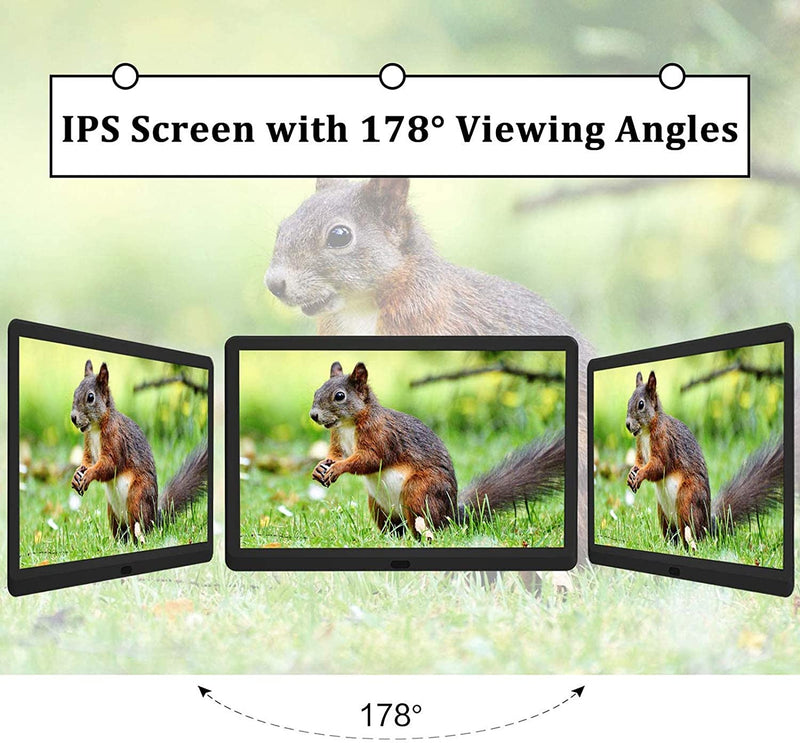 Digital Photo Frame 10 inch, 1920x1080 FHD Digital Picture Frame IPS Display, Photo/Music/Video Player, Alarm Auto On/Off Timer, Remote Control