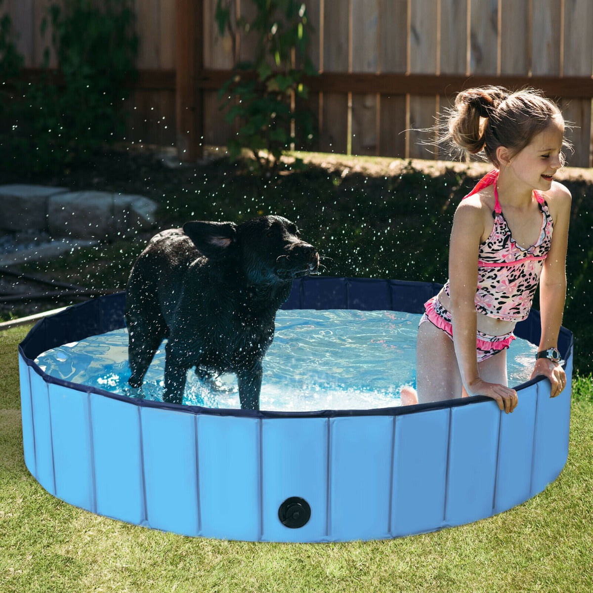 Large dog deals pool