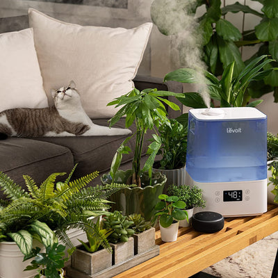 LEVOIT Smart Humidifiers for Bedroom & Baby, 6L Top-Fill Cool Mist, Quiet Sleep Mood & Alexa Control, Essential Oil Diffuser, Up to 60H for 47㎡, Blue