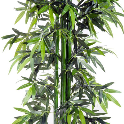 Artificial Bamboo Tree Plant, 1.8 M - Green Bamboo/ Black Pot