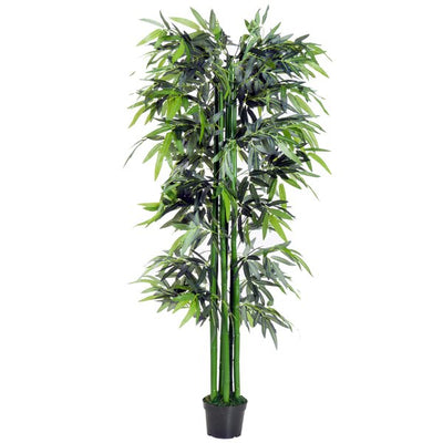 Artificial Bamboo Tree Plant, 1.8 M - Green Bamboo/ Black Pot