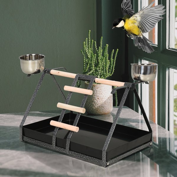 Birds Stainless Steel Feeder W/ Fir Wood Perch