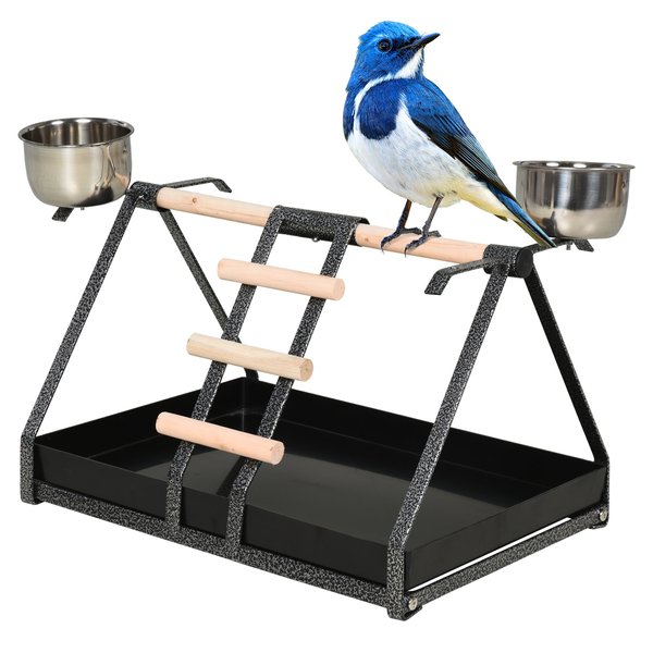 Birds Stainless Steel Feeder W/ Fir Wood Perch