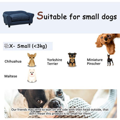 Dogs Elevated Plush Sponge Sofa Bed - Navy Blue