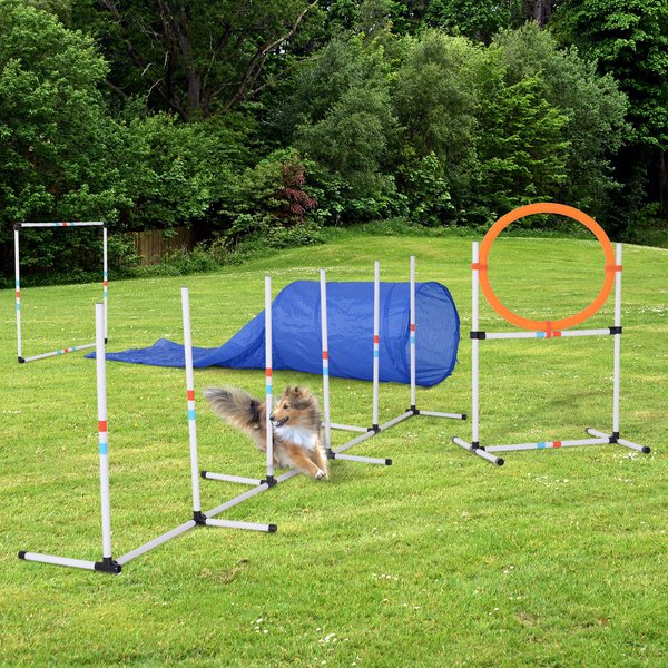 Agility clearance obstacle course